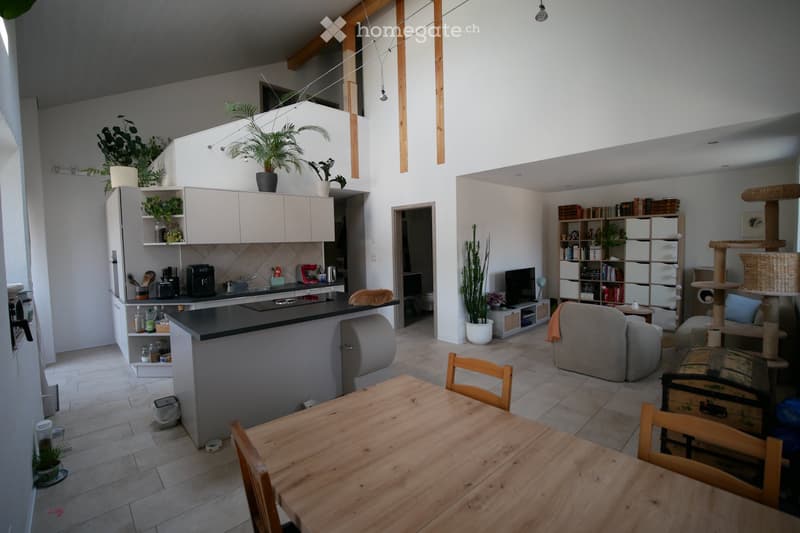 Appartement en duplex de 4,5 pièces (1)