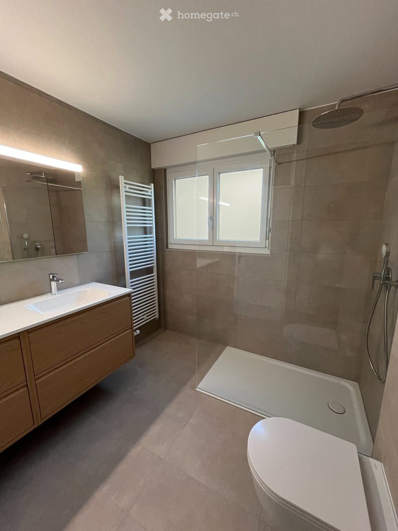 Appartement 4.5 pièces entièrement rénové  Le Landeron (5)