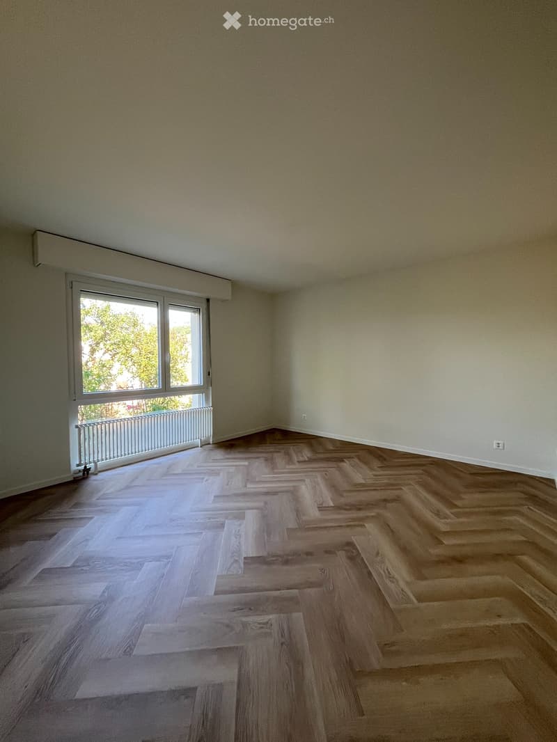 Appartement 4.5 pièces entièrement rénové  Le Landeron (3)