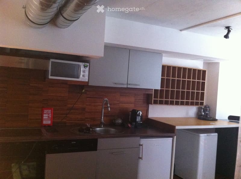 LOFT au Rez de Chaussée (3)