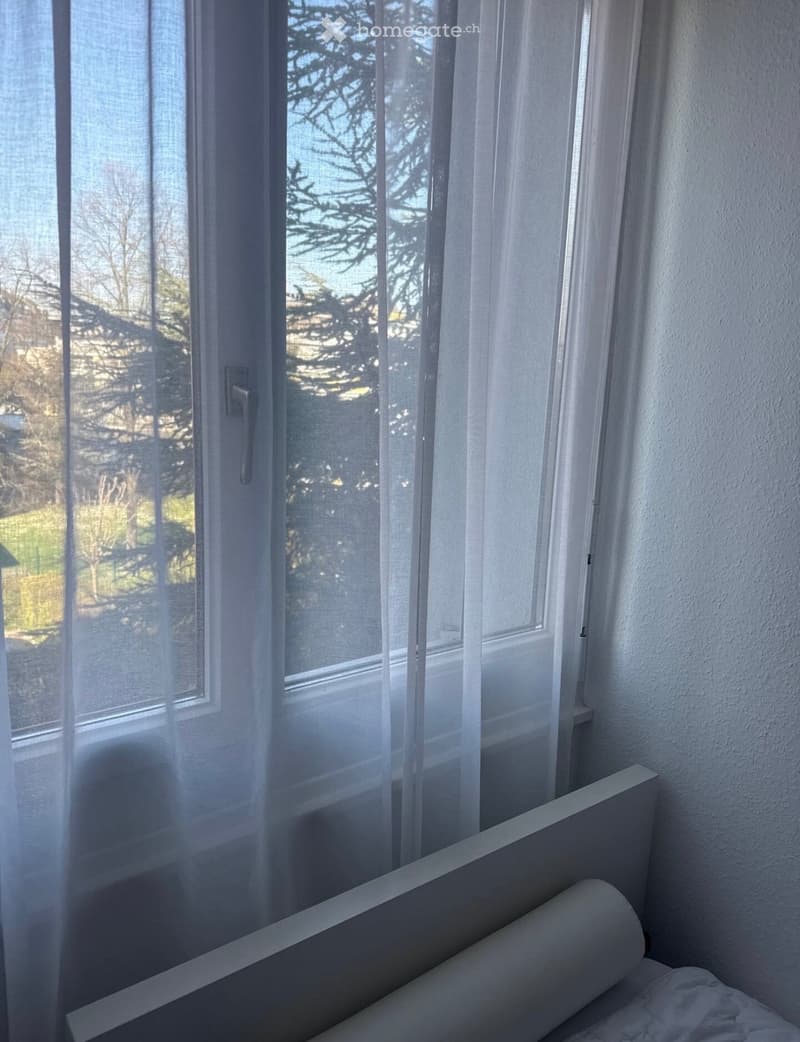 Chambre à louer à Charmilles - Genève (5)