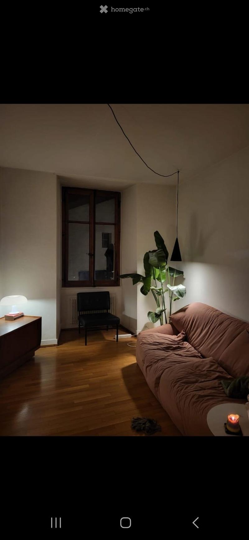 Appartement au centre de Lutry (4)