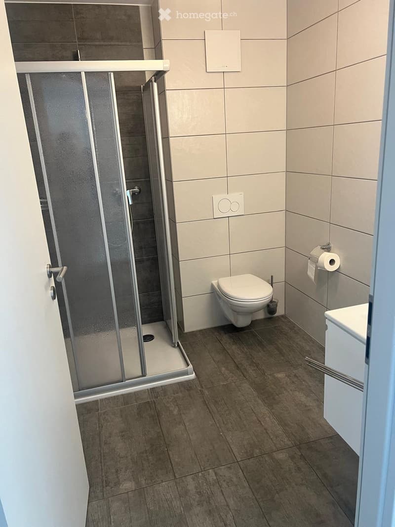 Apparement 2,5 pièces, à Vétroz (4)