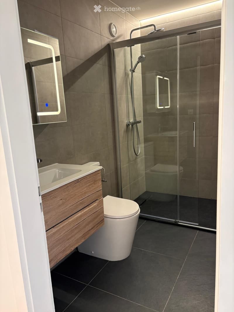 appartement 4,5 entiérement rènovè 1ere loc(place de park) (4)