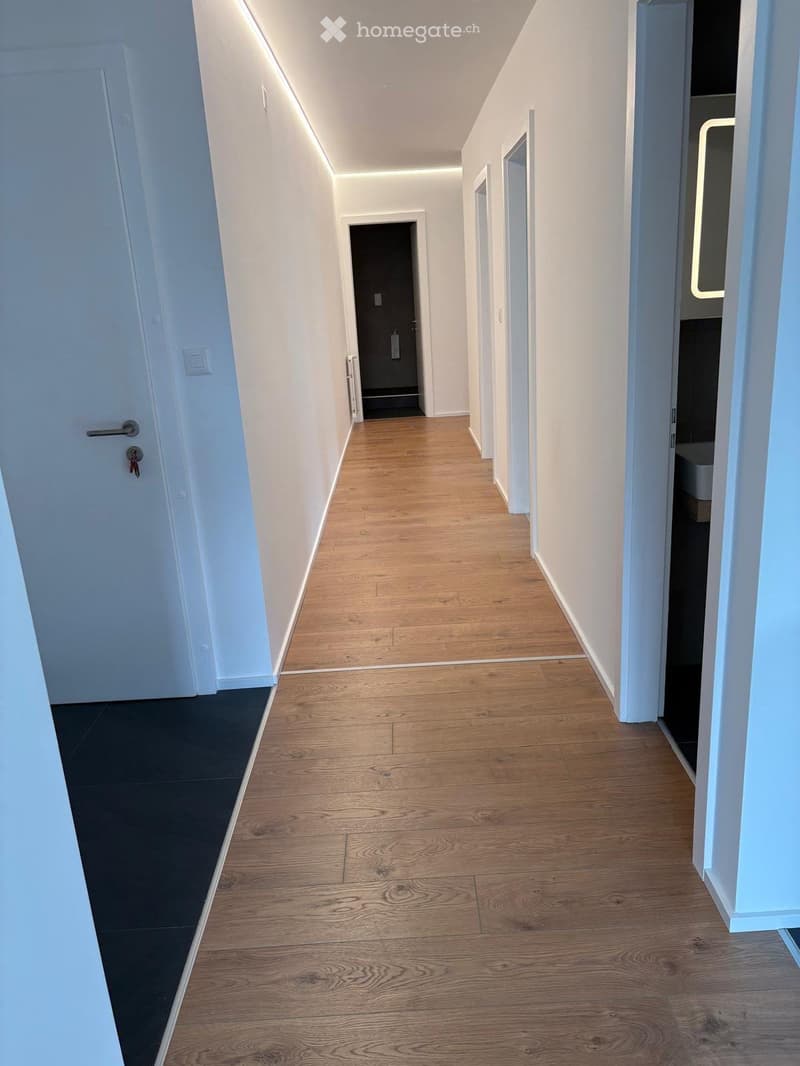 appartement 4,5 entiérement rènovè 1ere loc(place de park) (2)