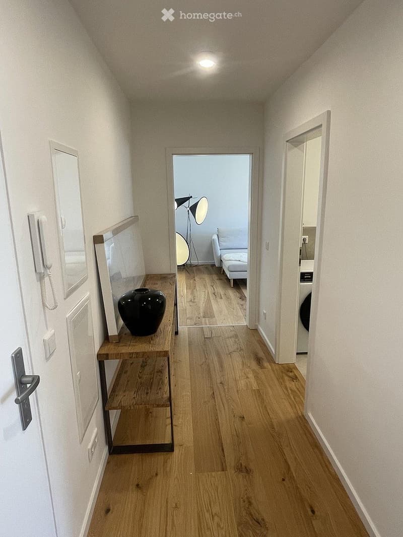 Wohnung grosszügige 2-Zimmer in Oerlikon (2)