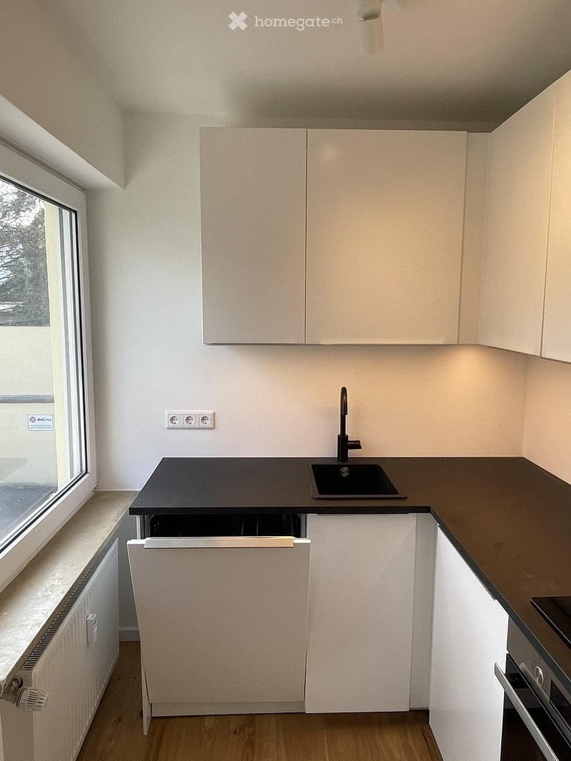 Wohnung grosszügige 2-Zimmer in Oerlikon (4)