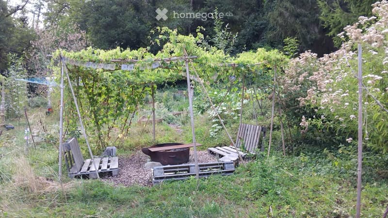 Une petite chambre pour amoureux de la nature ! (2)