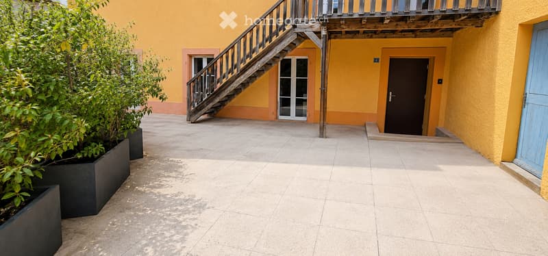 Magnifique 5 pièces entièrement rénové avec terrasse (2)