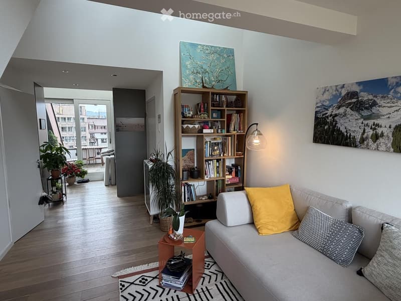 Beautiful furnished apartment to sublet now (4)
