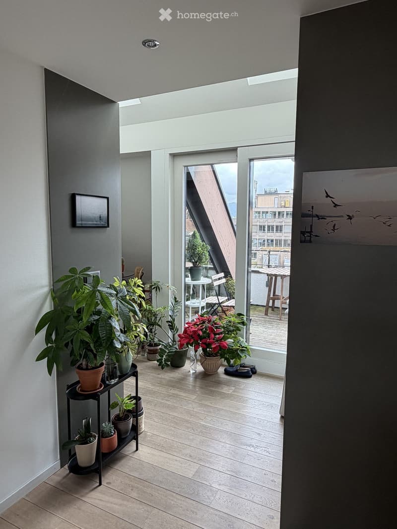 Beautiful furnished apartment to sublet now (3)