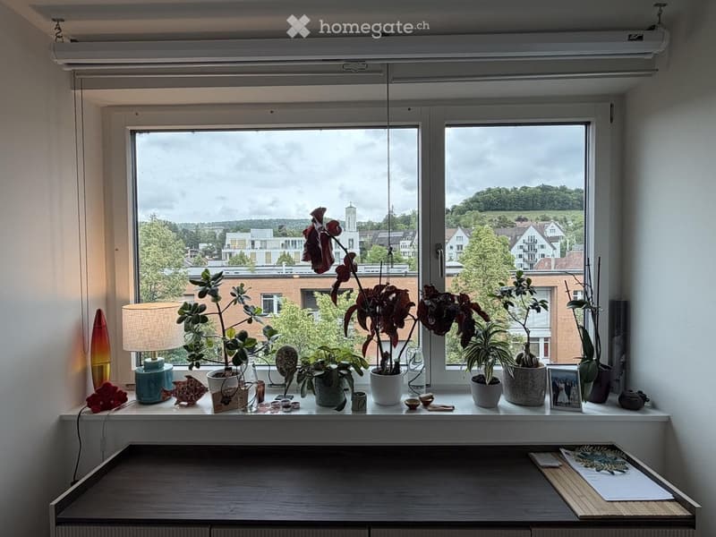Beautiful furnished apartment to sublet now (5)