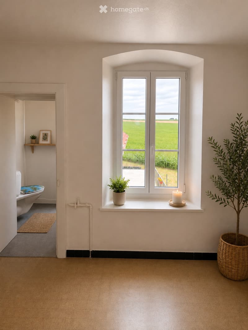 Charmant appartement 2 pièces dans un environnement calme (2)