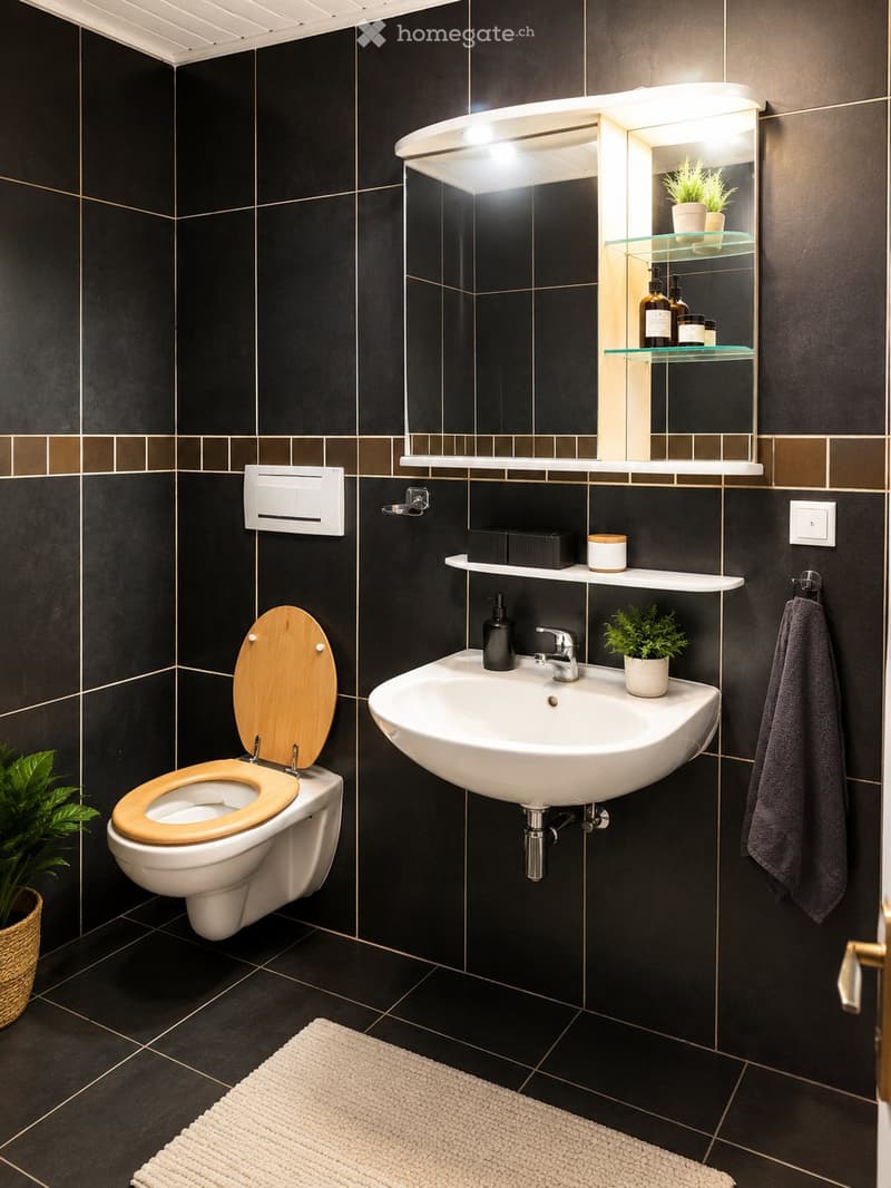 3½ pièces au centre de Bex CHF 1310. charges comprises (5)