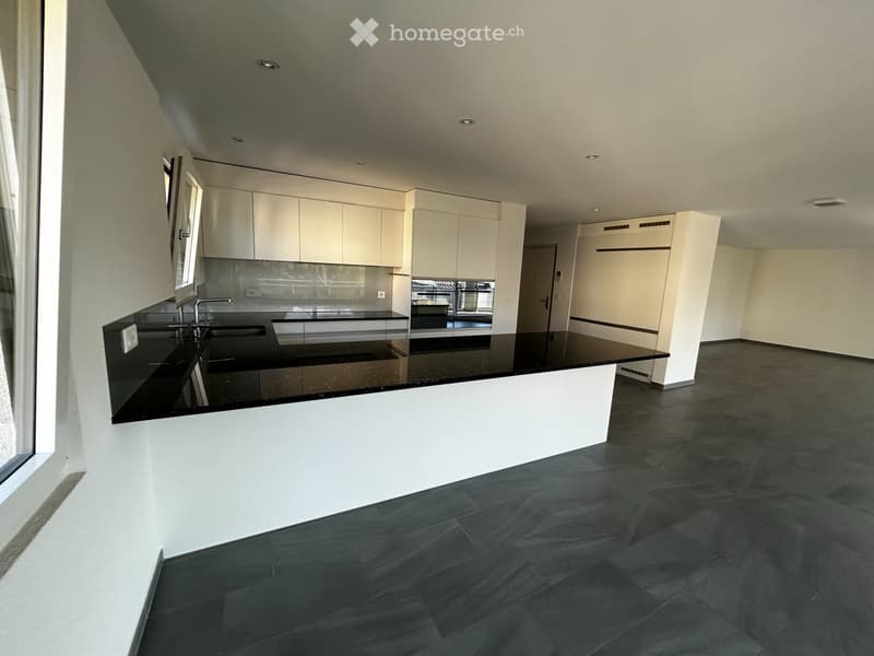 FRIBOURG  Rare  5.5 pièces 158m² - terrasse vitrée 42m² (2)