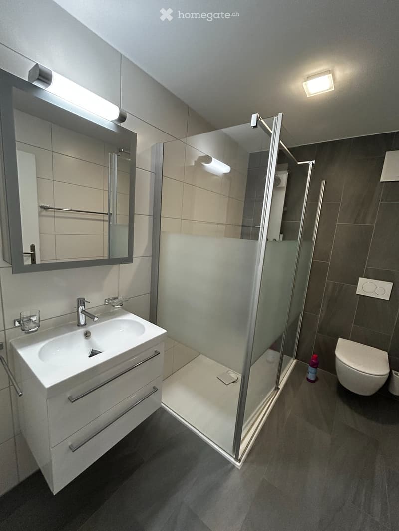 FRIBOURG  Rare  5.5 pièces 158m² - terrasse vitrée 42m² (4)