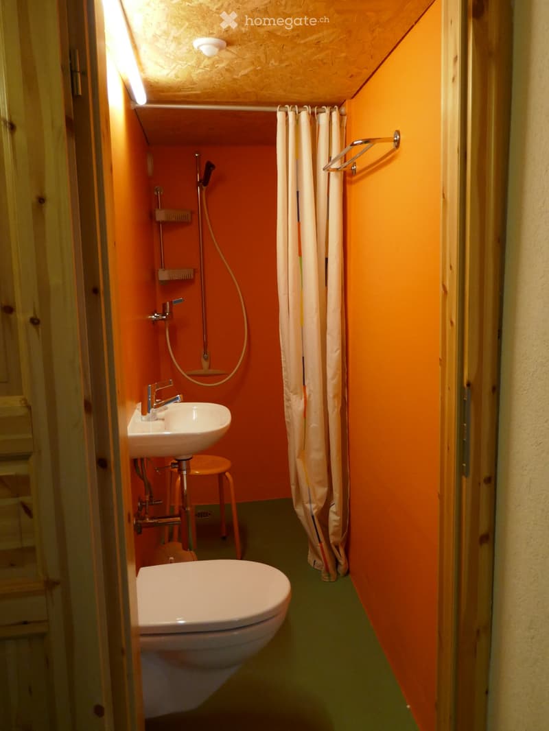 Chalet le Martagon (4)
