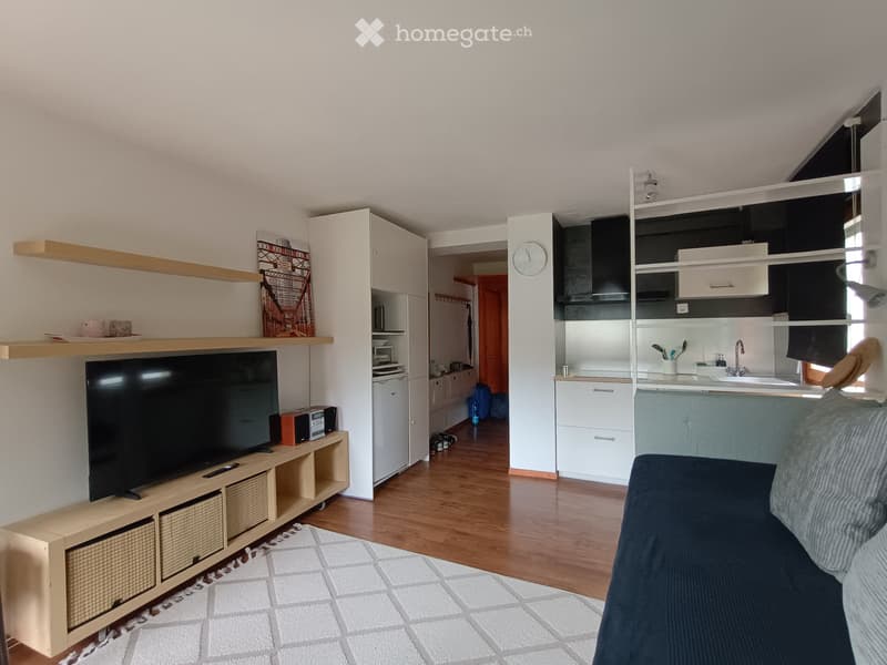 Appartement à Louer Crans Montana (3)