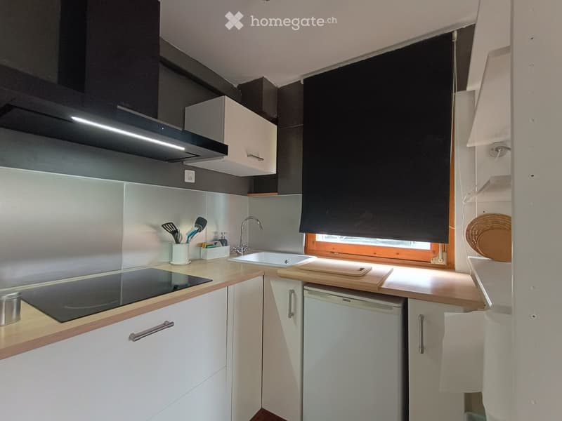 Appartement à Louer Crans Montana (2)