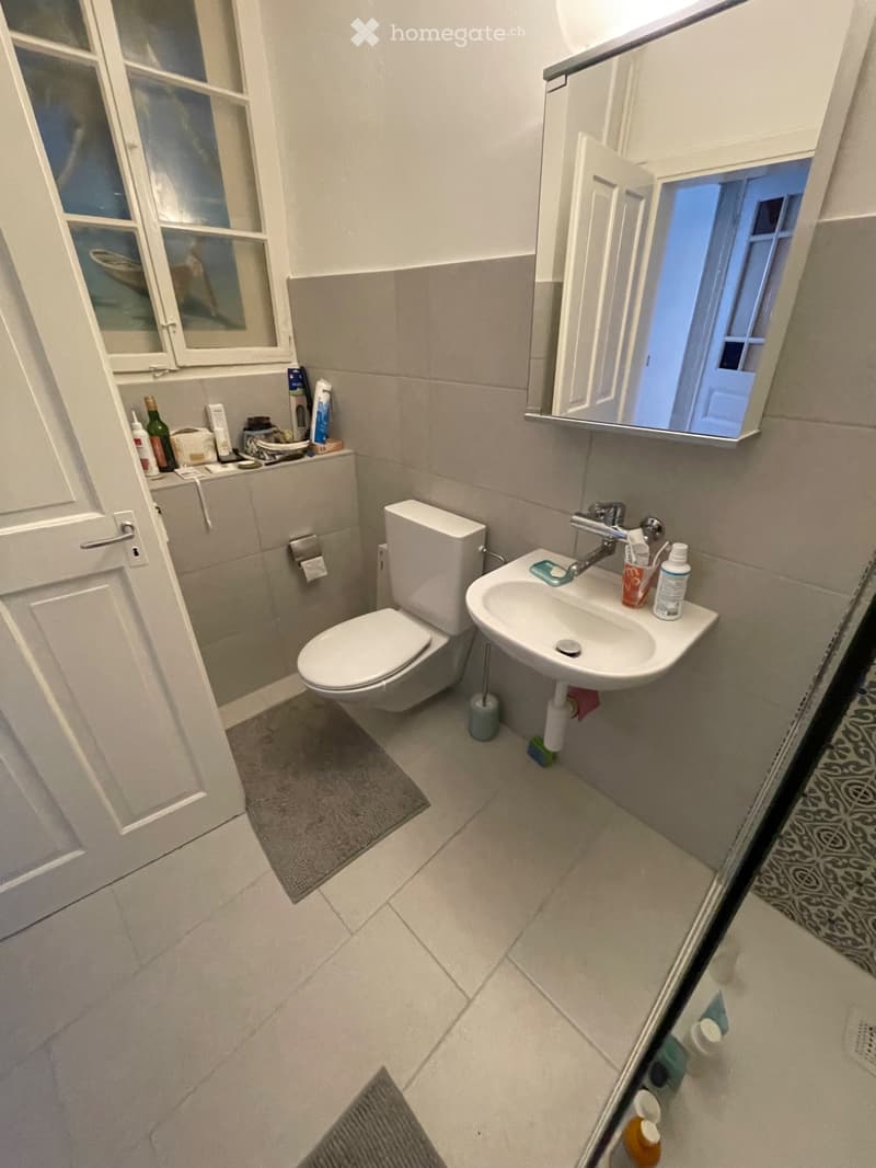 Appartement 3 pièces (4)
