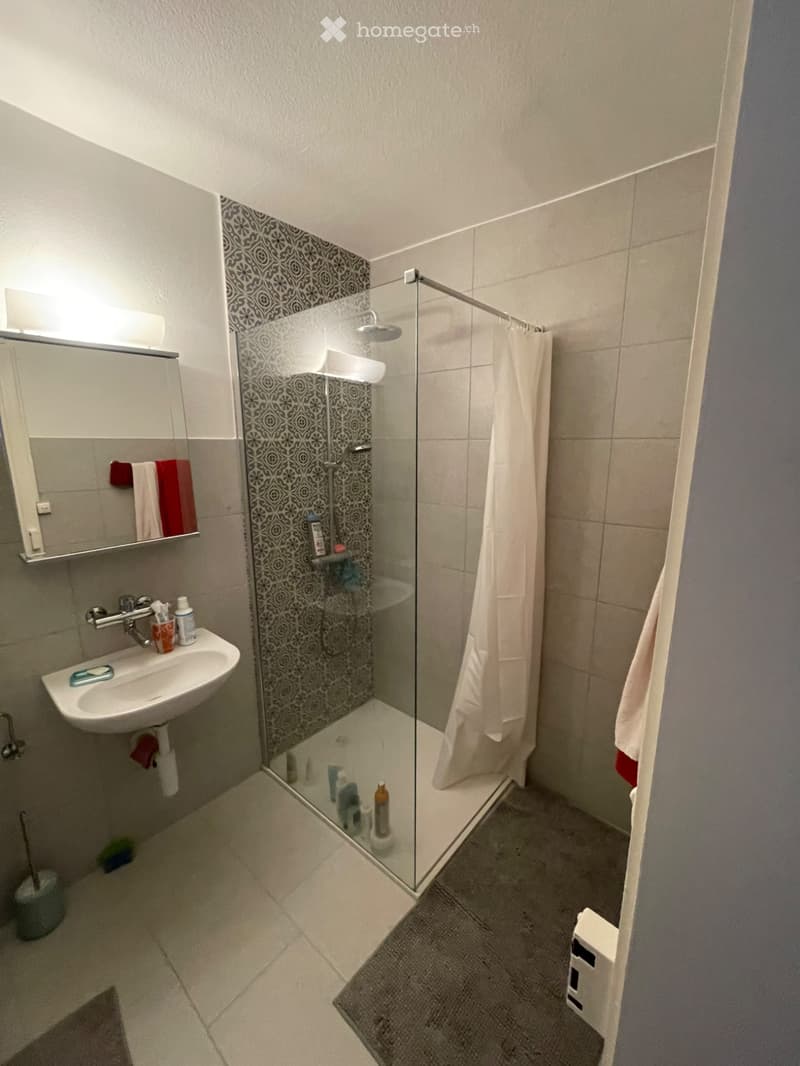 Appartement 3 pièces (5)