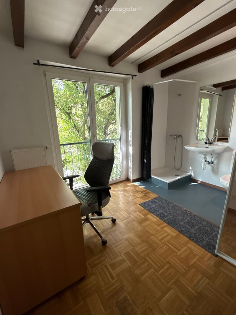 Colocation spacieuse avec terrasse et vue dégagée sur le lac (2)