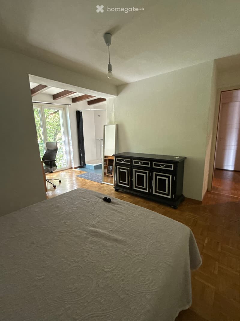 Colocation spacieuse avec terrasse et vue dégagée sur le lac (3)