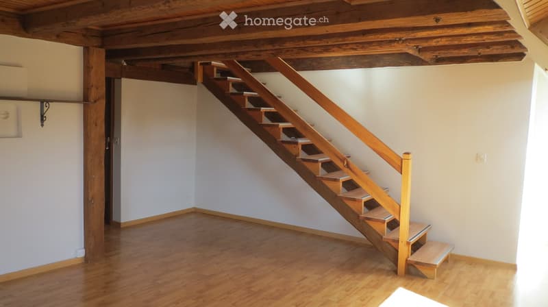 Appartement 4 pièces en duplex (4)