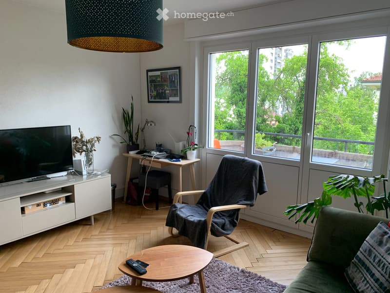 Charmant appartement lumineux 2,5 pièces (5)