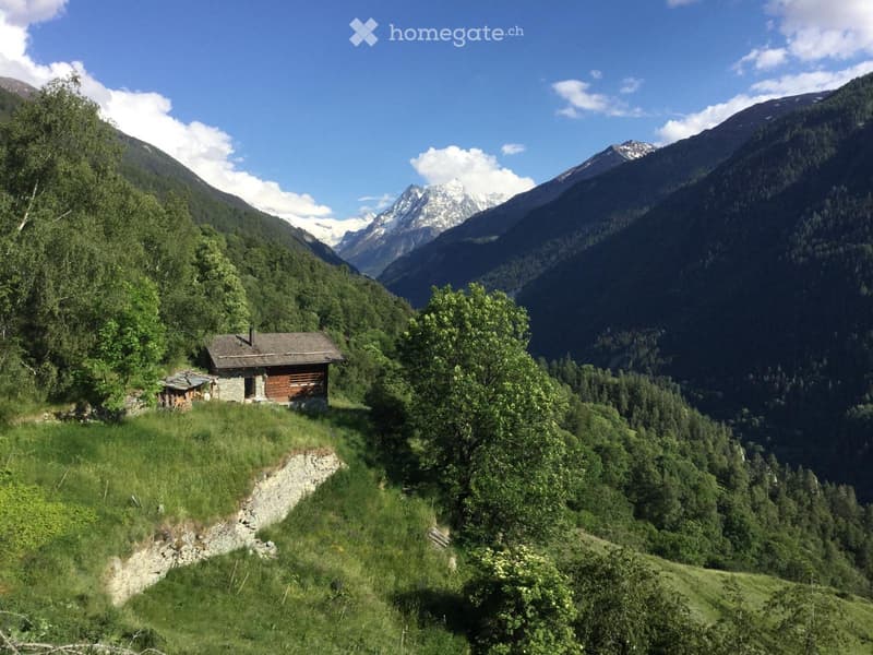 Chalet à louer en pleine nature (1)