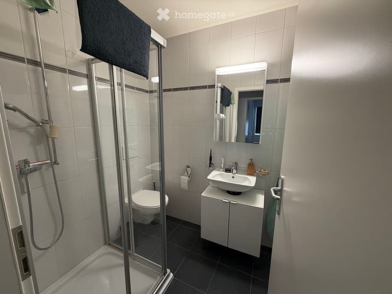 Appartement 3,5 pièces à Morges (5)
