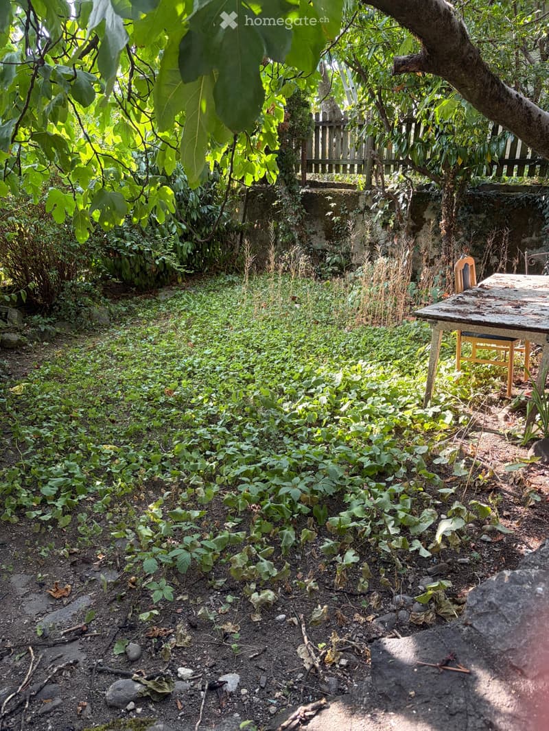 Appartement à louer (4)
