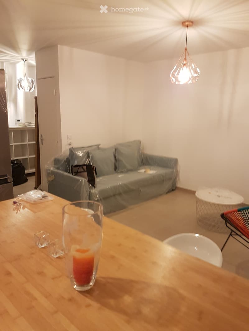 2 Pièces  63 m², 2 Pièces, + jardin 45m2 et terrasse17m2 (5)