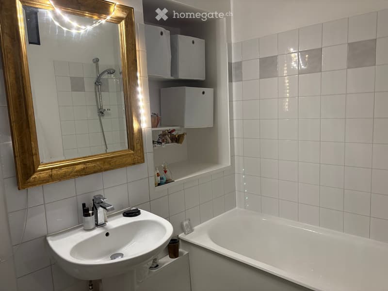 Location triplex meublé 3 chambres doubles vue Mt Blanc (4)