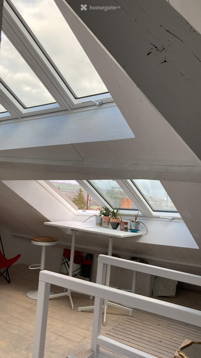 Location triplex meublé 3 chambres doubles vue Mt Blanc (1)