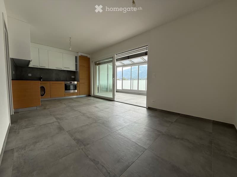 Magnifique 2 pièces 1/2 neuf avec grande terrasse (1)
