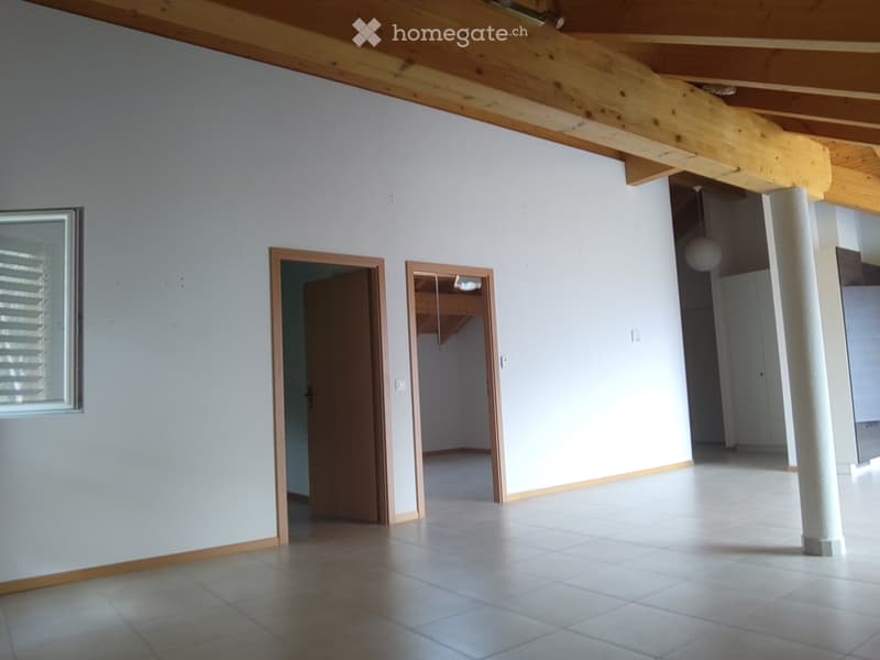 Mex : Appartement 3,5 pièces à louer (5)