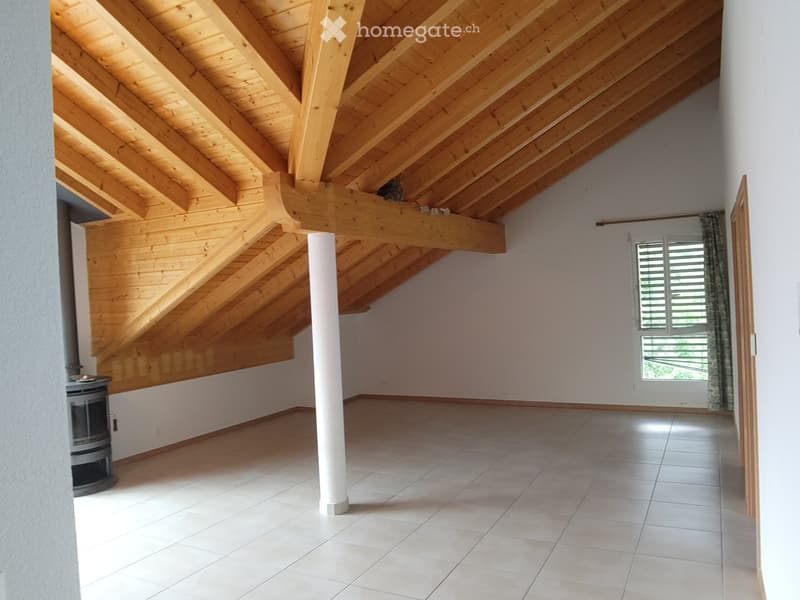 Mex : Appartement 3,5 pièces à louer (2)