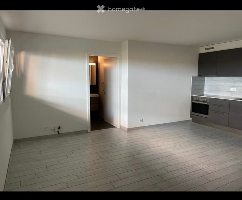 Studio à louer (Vétroz ) (2)