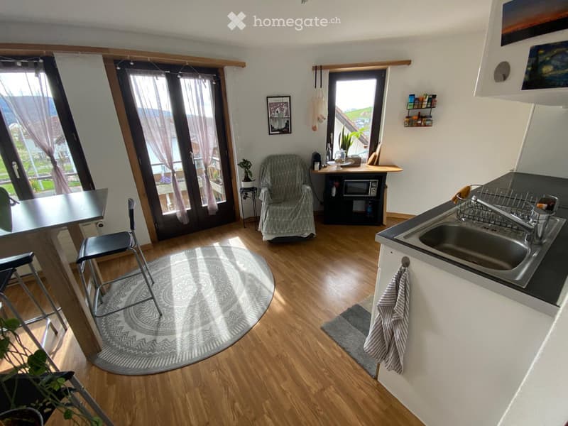 Charmant 2,5pces avec balcon à Fontenais (1)