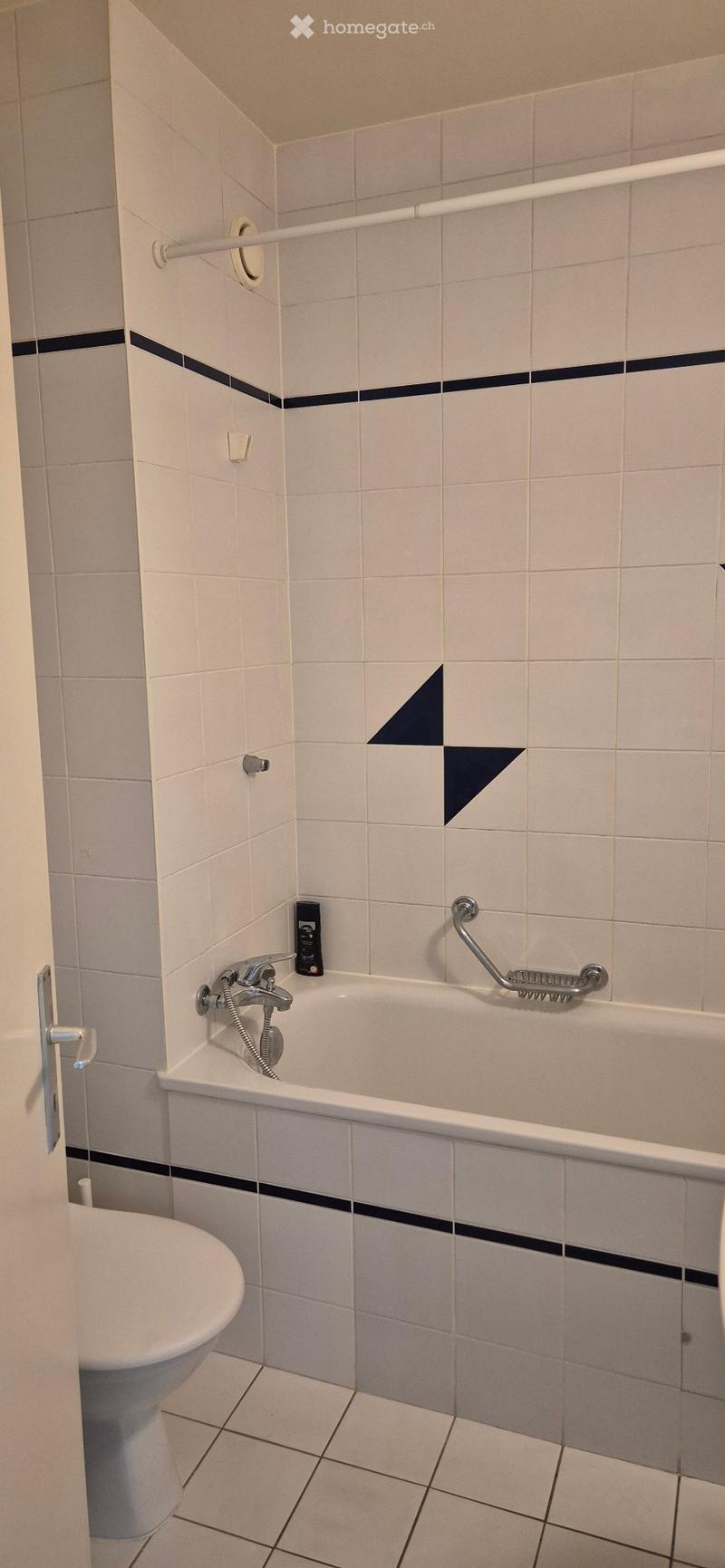 Reprise de bail appartement de 1.5 pièce (3)