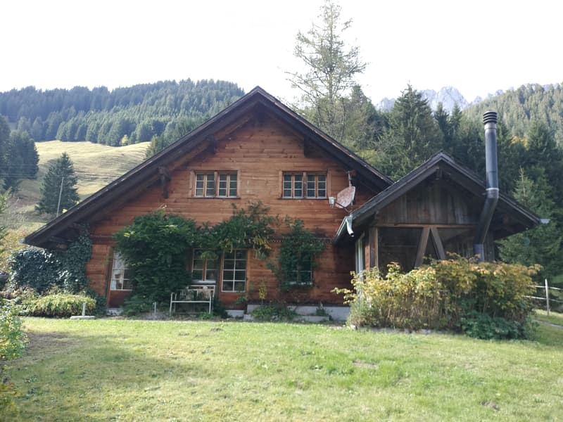Appartement dans chalet mitoyen (1)