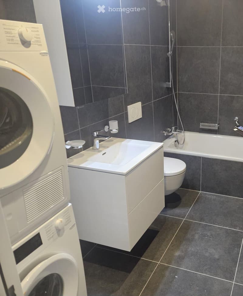 Appartement 3,5 pièces au 2ème étage dans bâtiment moderne (3)
