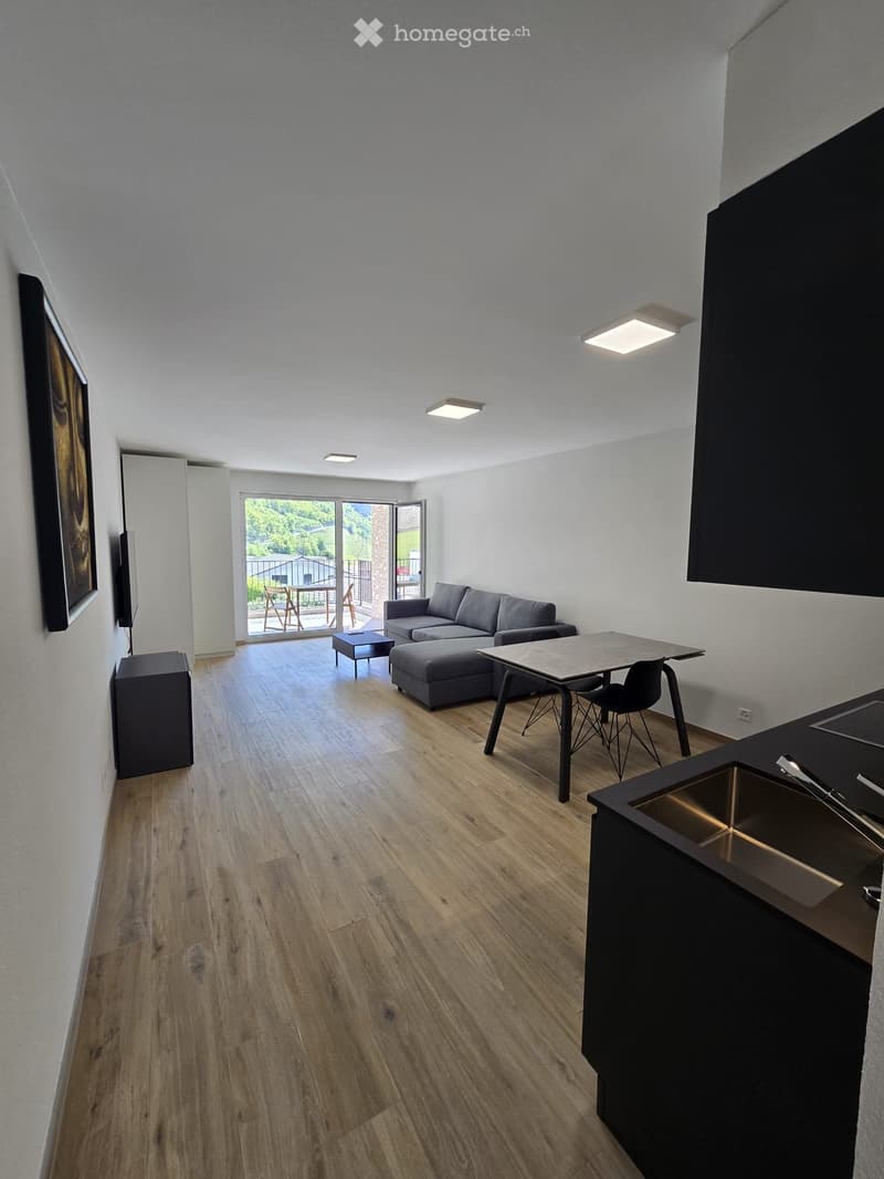 Grand studio neuf, meublé et équipé de 40 m² - 1908 Riddes (2)