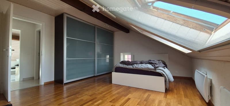 Appartement 3.5 pièces sous les combles (2)