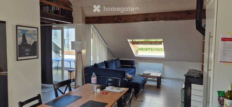 Appartement 3.5 pièces sous les combles (3)