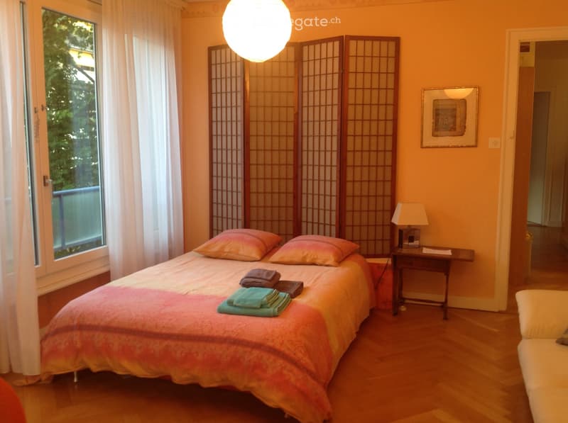 Chambre 20m2 tout près du CMU et des HEPS (4)