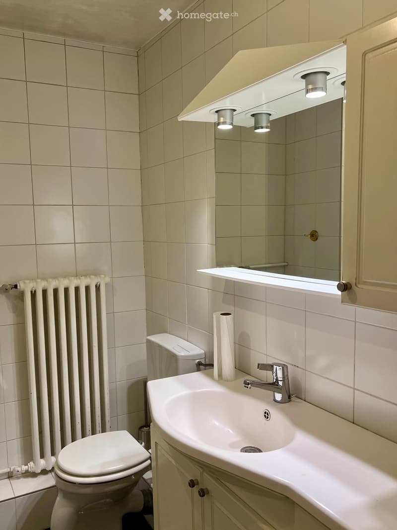 Appt caractère 150 m2 avec terrasse/vue lac unique -6-8 mois (9)