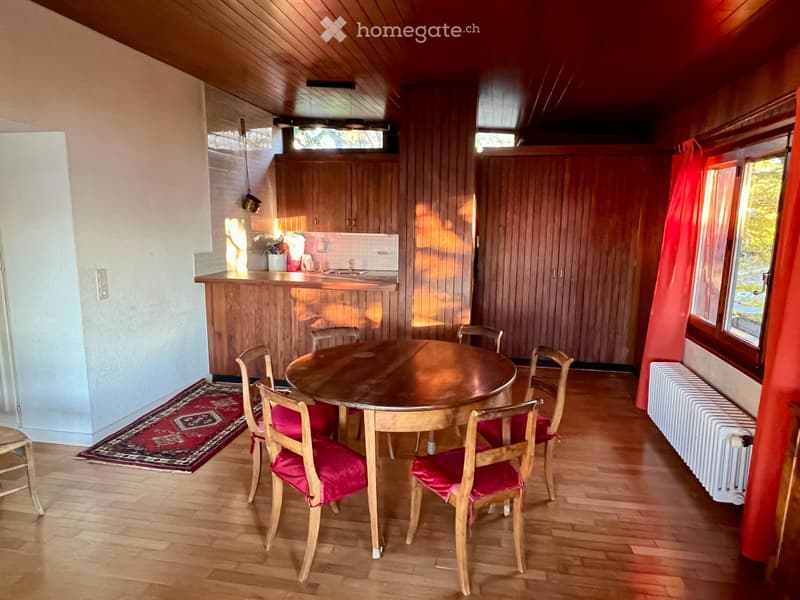 Appt caractère 150 m2 avec terrasse/vue lac unique -6-8 mois (3)