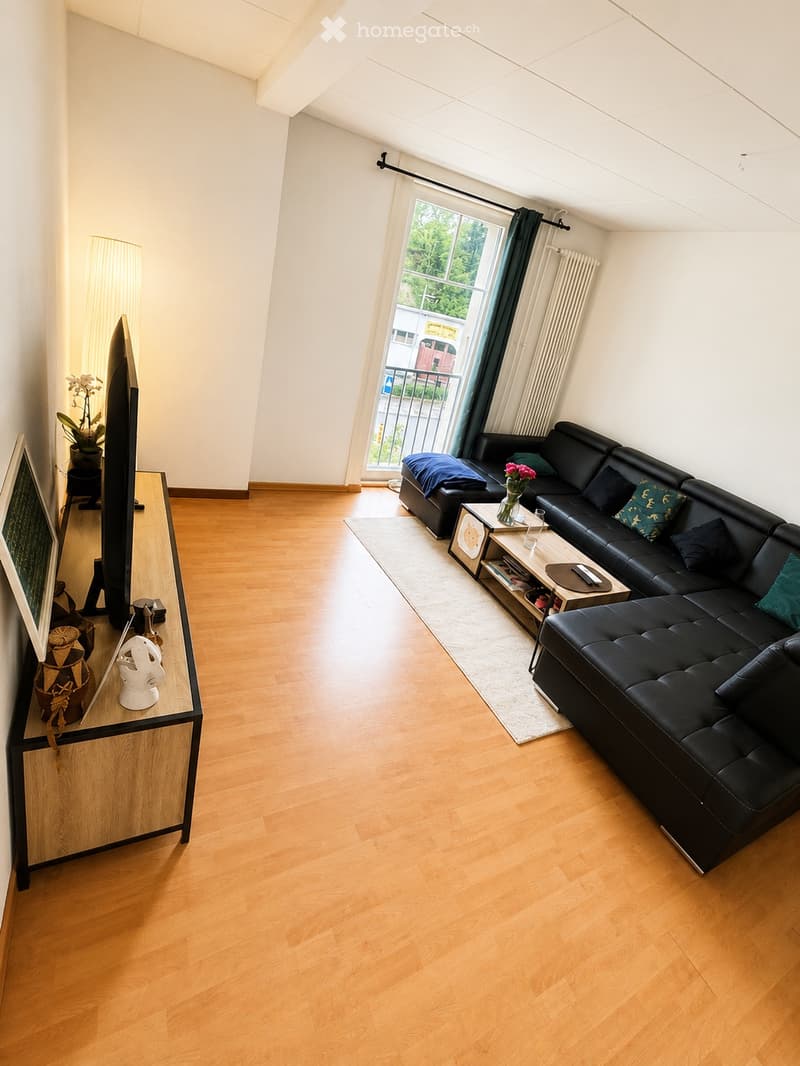 Bel appartement lumineux - 3,5 pièces (4)